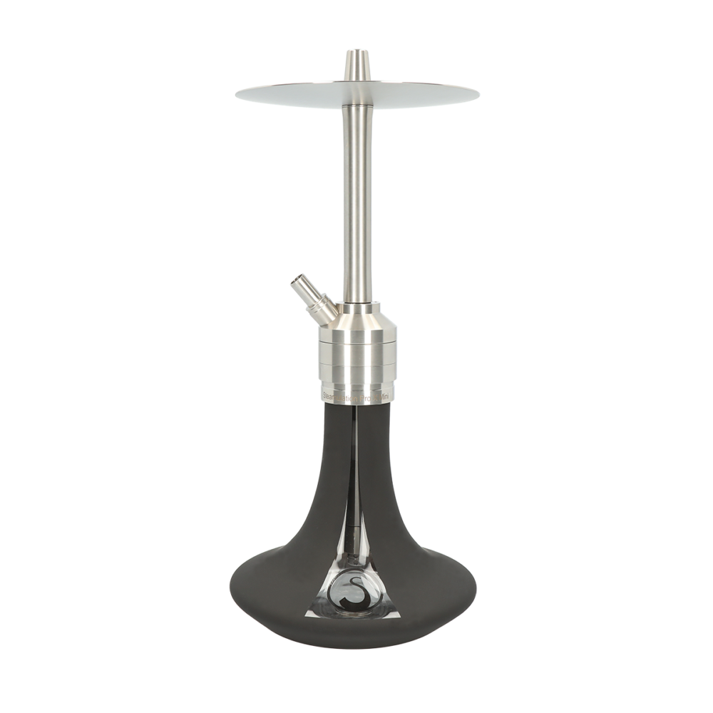 Steamulation pro X mini